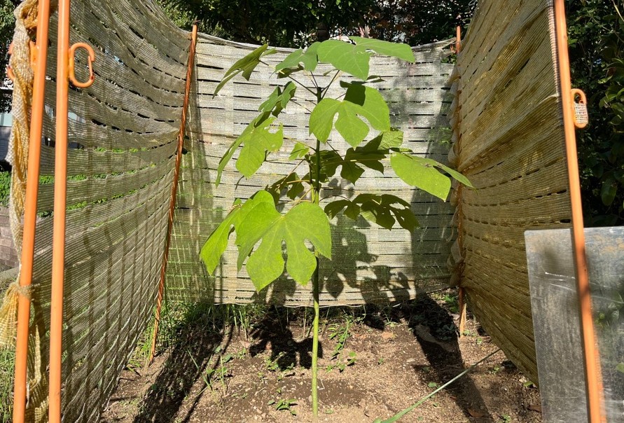 令和7年10月17日