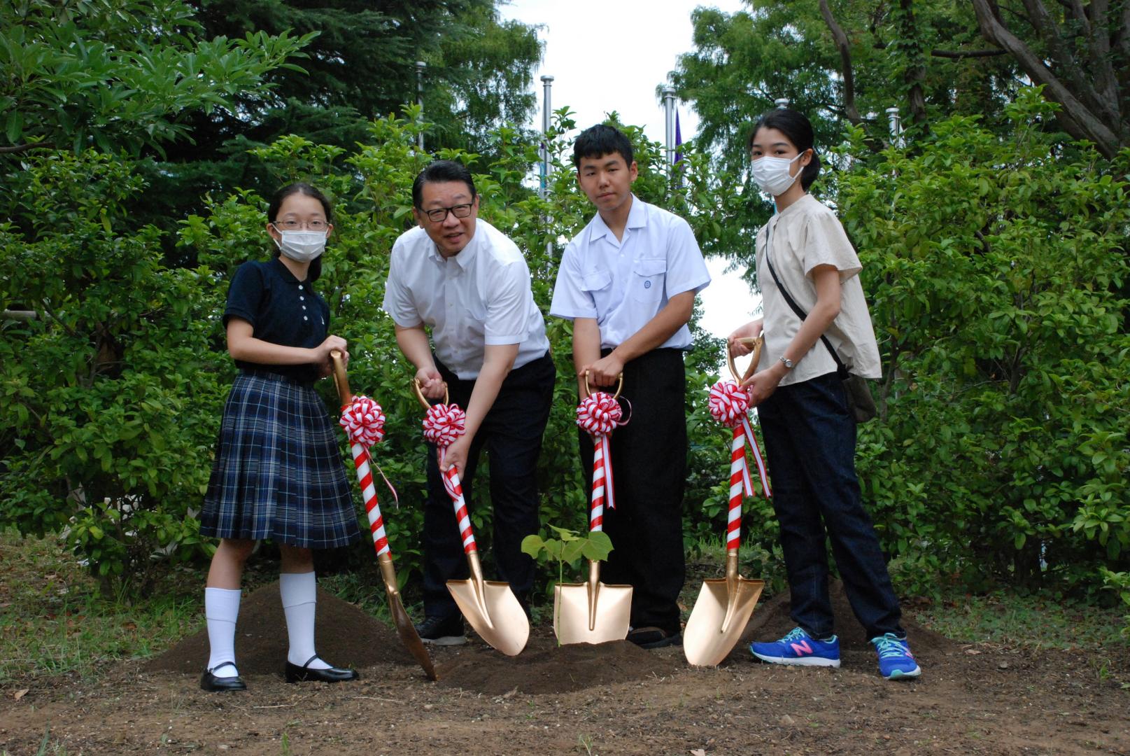 植樹3