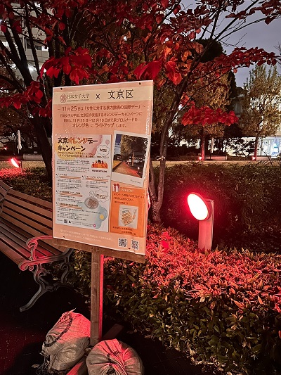 日本女子大学ライトアップ2