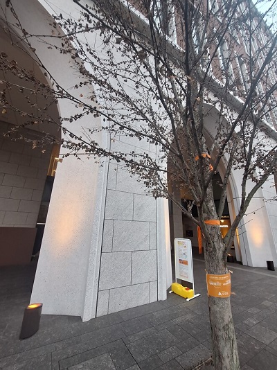 中央大学茗荷谷キャンパス4