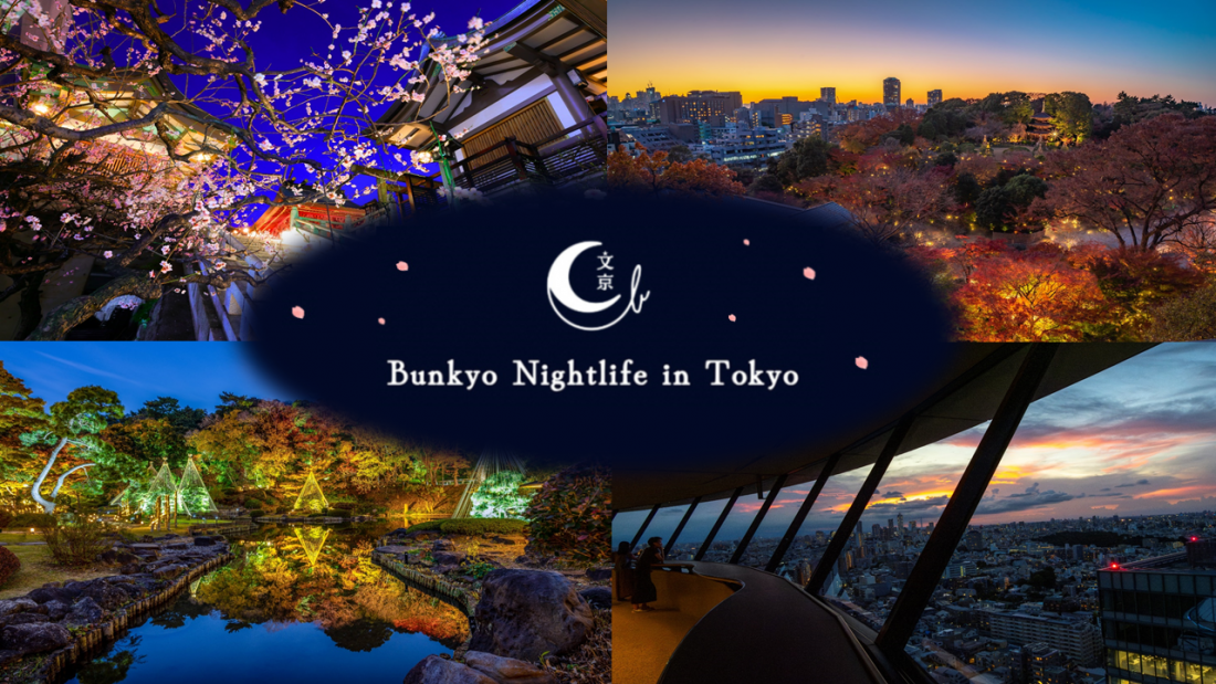 メインビジュアルPC用（ナイトライフ）