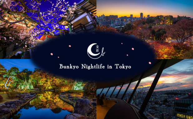 メインビジュアルSP用（ナイトライフ）