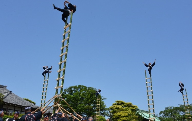 梯子乗り