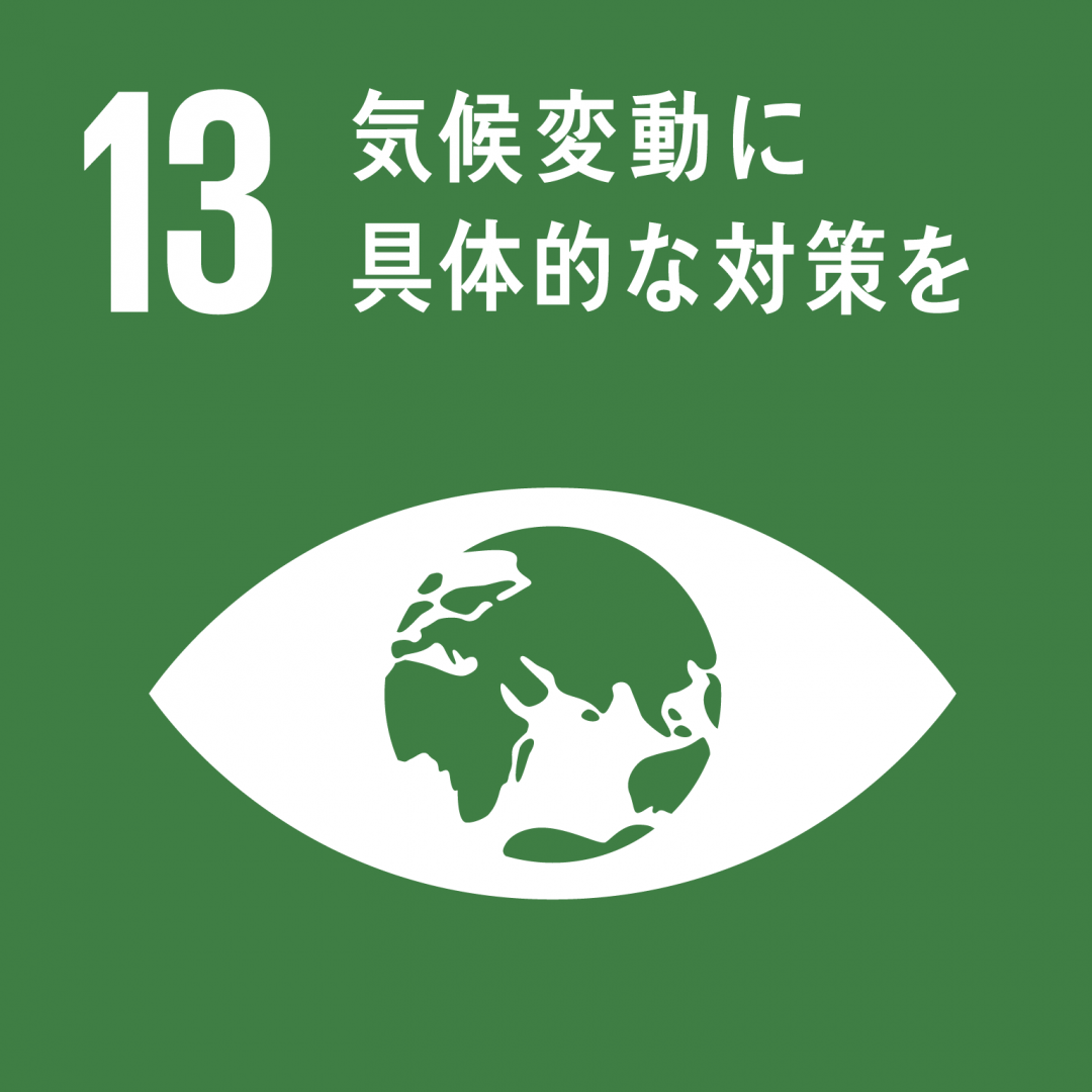 sdg13