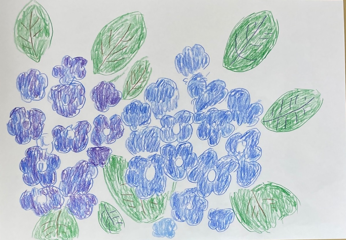 「神社の紫陽花」前田久美子